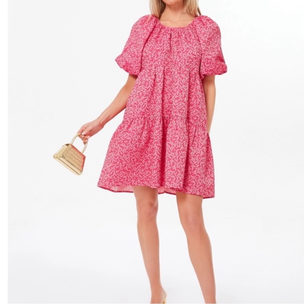 NWT Hyacinth House Dress